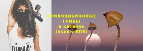 твердый Алексеевка