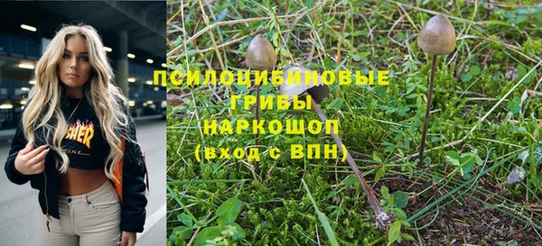 твердый Алексеевка