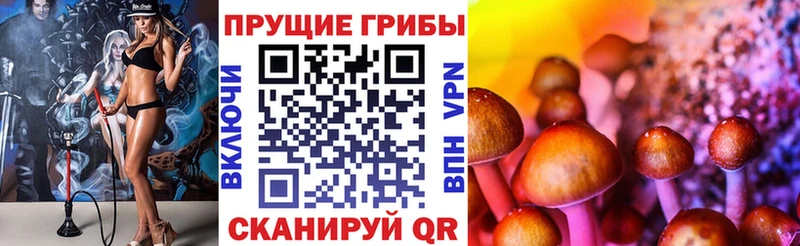 Псилоцибиновые грибы GOLDEN TEACHER  где продают   Пыталово 